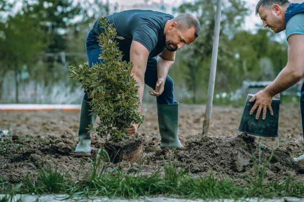 Lawn Watering Services in Lowell, MI